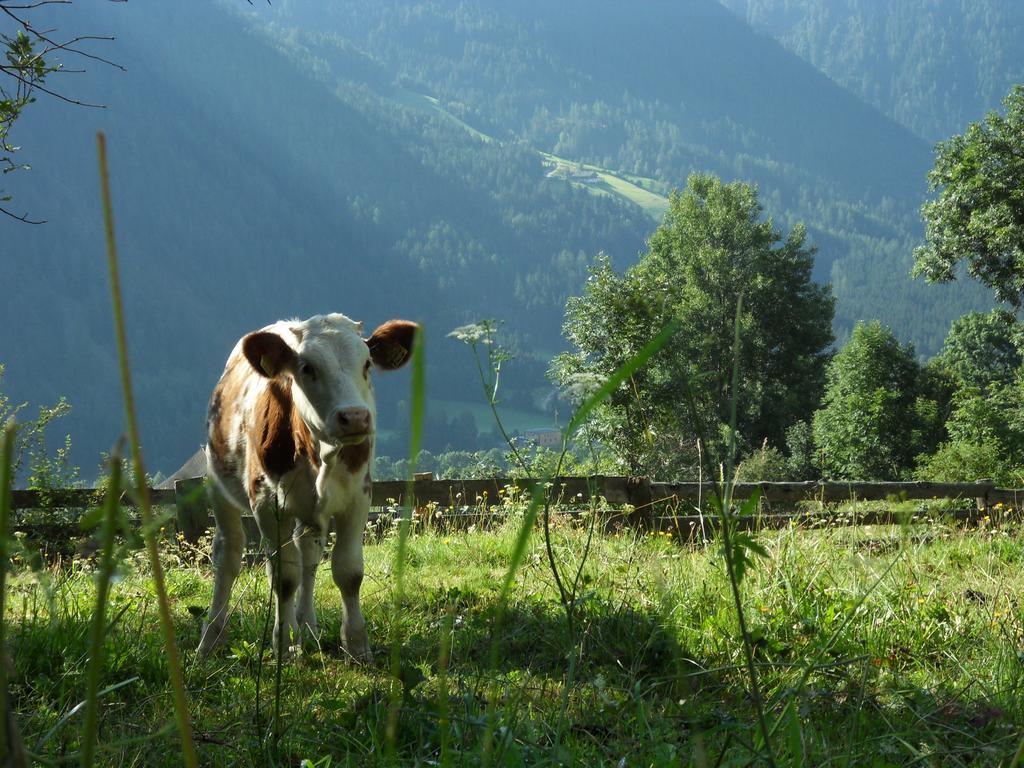 Farm stay Wiesemann Biohof
